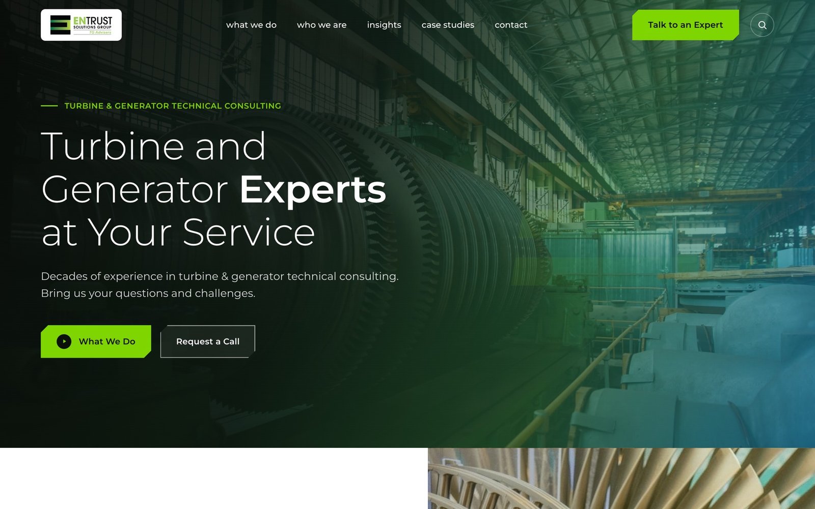 TG Advisers — built by Shark Digital